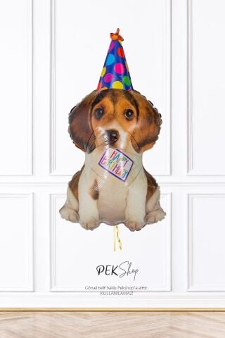Sevimli Doğum Günü Köpeği Balon Birthday Puppy Minik Balon 14inç
