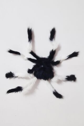 Halloween Örümcek Ağı ve Örümcek Seti 1 Adet 150cm Örümcek Ağı 1 Adet 50 Cm Gerçekçi Örümcek