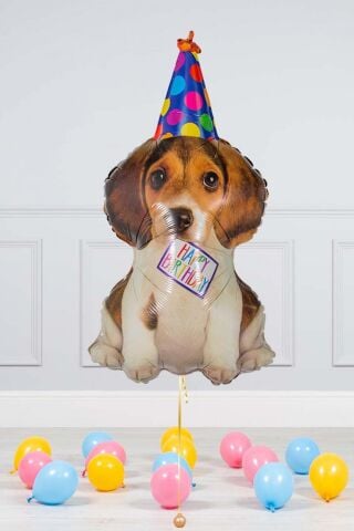 Sevimli Doğum Günü Köpeği Balon Birthday Puppy Minik Balon 14inç