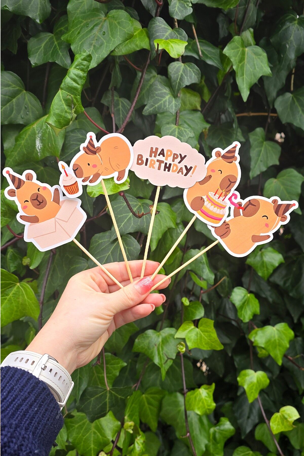 Kapibara Kürdan Süsleri Lüks Büyük Boy 10lu Paket