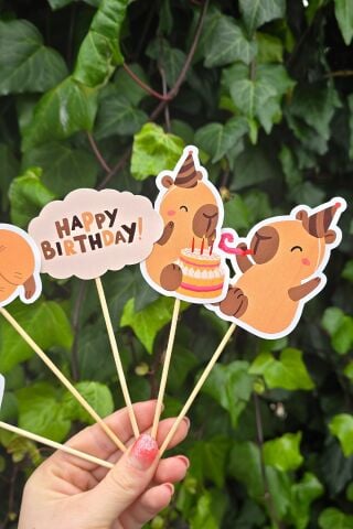 Kapibara Kürdan Süsleri Lüks Büyük Boy 10lu Paket