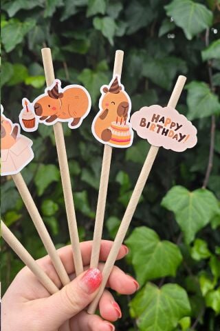 Kapibara Pipet Süsleri 10lu Capybara Konsept Lüks Pipet Paketi