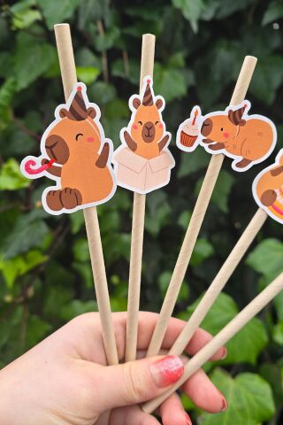 Kapibara Pipet Süsleri 10lu Capybara Konsept Lüks Pipet Paketi