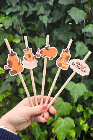 Kapibara Pipet Süsleri 10lu Capybara Konsept Lüks Pipet Paketi