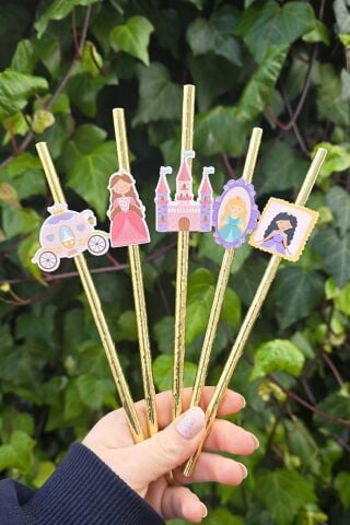 Prenses Pipet Süsleri 10lu Prenses Konsept Lüks Pipet Paketi