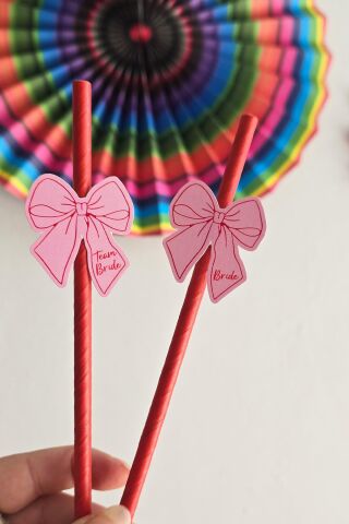 Bride Pipet Seti Pembe Kırmızı Fiyonk Konsept Bekarlığa Veda Bride Party Süslü Pipet Takımı 5 li