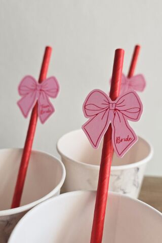 Bride Pipet Seti Pembe Kırmızı Fiyonk Konsept Bekarlığa Veda Bride Party Süslü Pipet Takımı 5 li