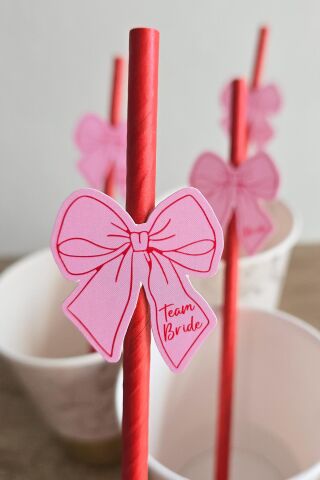 Bride Pipet Seti Pembe Kırmızı Fiyonk Konsept Bekarlığa Veda Bride Party Süslü Pipet Takımı 5 li