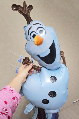 Frozen Elsa Karlar Ülkesi Tema Folyo Balon Seti 5li Set Frozen Elsa Temalı Balonlar
