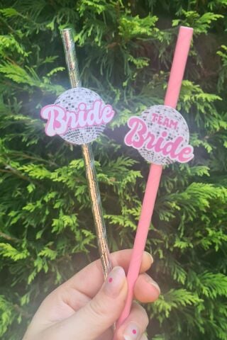 Bride Pipet Seti Disko Konsept Bekarlığa Veda Süslü Pipet Takımı 5 li