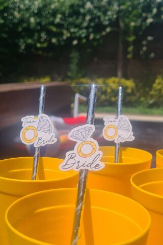 Bride Pipet Seti Tektaş Konsept Bekarlığa Veda Bride Party Süslü Pipet Takımı 5 li