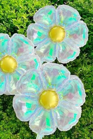 Hologram Papatya Folyo Balon