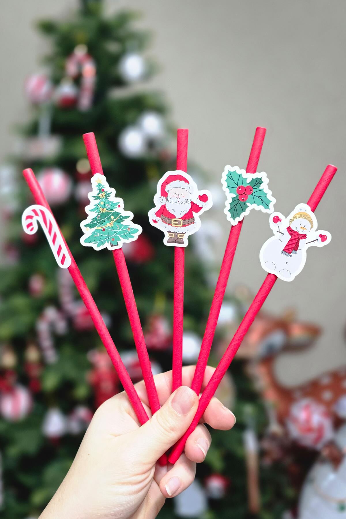 Yılbaşı Temalı Noel Baba Kardan Adam Baston Şeker Süslü Pipetler 10lu Pipet Paketi