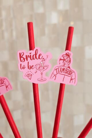 Bride Pipet Seti Kırmızı Kız Konsept Bekarlığa Veda Bride Party Süslü Pipet Takımı 5 li