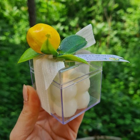Limon Bahçesi Konsept Mika Kutuda Çiçek Süslemeli Bubble Mum Hediyelik