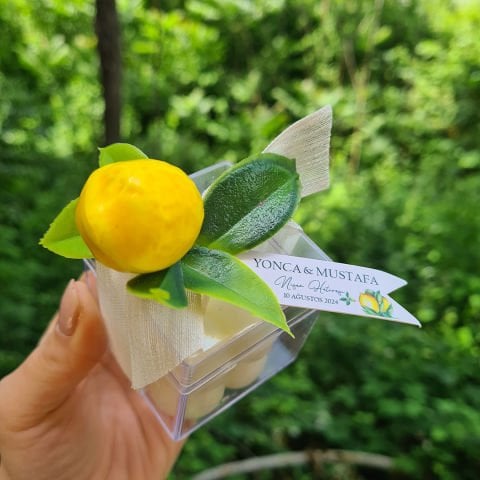 Limon Bahçesi Konsept Mika Kutuda Çiçek Süslemeli Bubble Mum Hediyelik