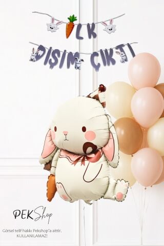 Diş Buğdayı Parti Süsleme Seti Havuçlu Tavşan Balonlu Bannerlı Set 259