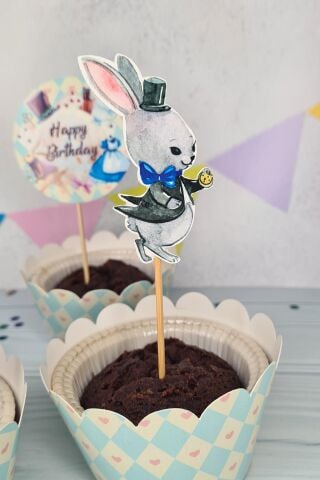 Alice in Wonderland Konsept Kürdan Süsleri Cupcake Süsleri Lüks Büyük Boy 10lu Paket