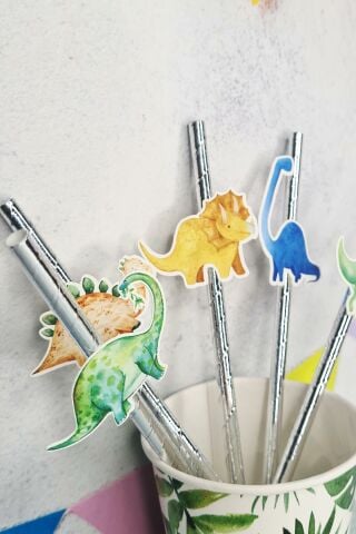 Dinozor Konsept Pipet Süsleri 10lu Lüks Pipet Paketi