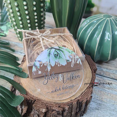 Okaliptus Cipso Konsept Şeffaf Pleksi Magnet Kutusuz