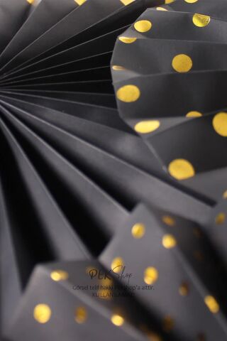 Siyah Gold Yaldızlı Yelpaze Süs Seti 6lı Fan Duvar Süsü Siyah Gold Varaklı 6lı Arkalı Önlü