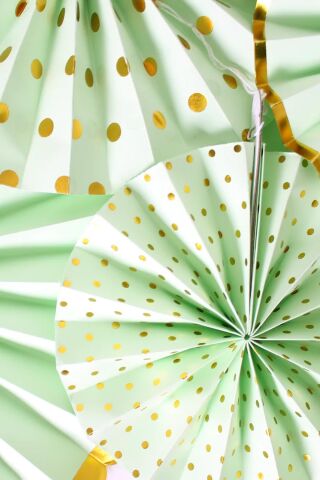 Yeşil Gold Yaldızlı Yelpaze Süs Seti 6lı Fan Duvar Süsü Yeşil Gold Varaklı 6lı Arkalı Önlü