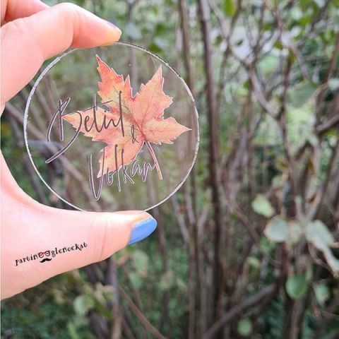 Solmuş Yaprak Konsept Şeffaf Pleksi Magnet Şeffaf Kapaklı Kraft Kutu