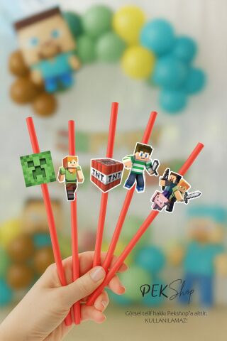 Minecraft Pipet Süsleri 10lu Minecraft Konsept Lüks Pipet Paketi