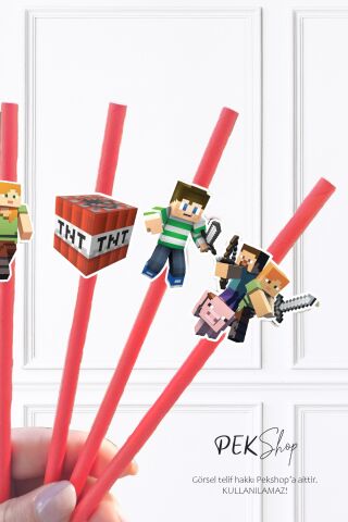 Minecraft Pipet Süsleri 10lu Minecraft Konsept Lüks Pipet Paketi