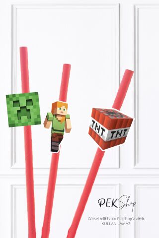 Minecraft Pipet Süsleri 10lu Minecraft Konsept Lüks Pipet Paketi