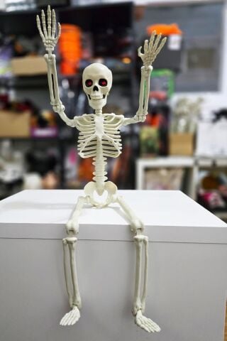 Cadılar Bayramı İskelet Figür Şekil Alabilen İskelet Büyük Boy 60cm