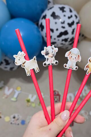 Çiftlik Tema Pipet Süsleri 10lu Çiftlik Konsept Lüks Pipet Paketi