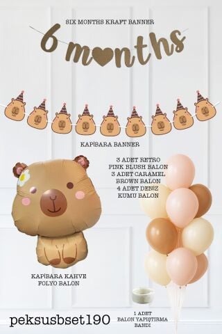 Kapibara Tema 6 Aylık Süsleri Seti 6 Months Banner ve Balon Seti