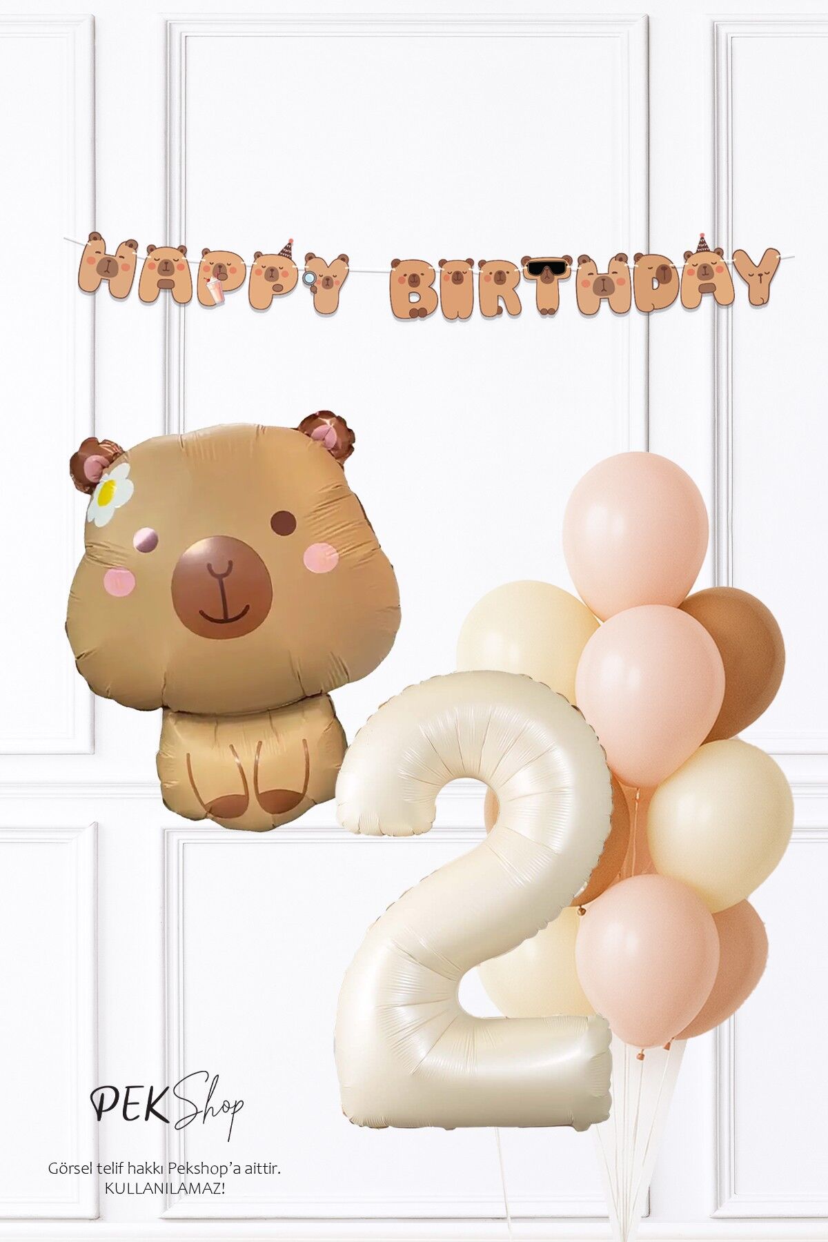 Kapibara Tema Doğum Günü Balon ve Banner Süsleme Seti Capybara Konsept 2