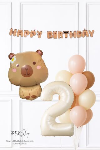Kapibara Tema Doğum Günü Balon ve Banner Süsleme Seti Capybara Konsept 2
