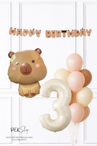 Kapibara Tema Doğum Günü Balon ve Banner Süsleme Seti Capybara Konsept 3