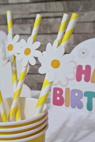 Papatya Konsept Pipet Süsleri 10lu Lüks Pipet Paketi