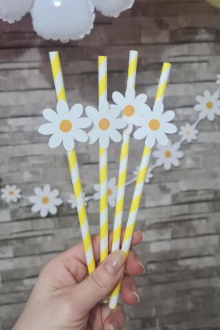 Papatya Konsept Pipet Süsleri 10lu Lüks Pipet Paketi