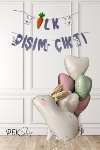 Diş Buğdayı İlk Diş Partisi Balon Seti Tavşan ve Kalp Balonlu Set