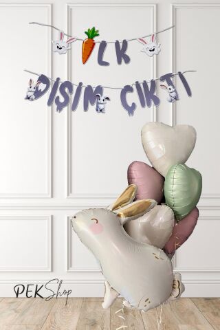 Diş Buğdayı İlk Diş Partisi Balon Seti Tavşan ve Kalp Balonlu Set