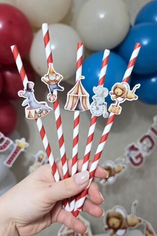 Sirk Tema Pipet Süsleri 10lu Sirk Konsept Lüks Pipet Paketi