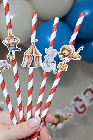 Sirk Tema Pipet Süsleri 10lu Sirk Konsept Lüks Pipet Paketi