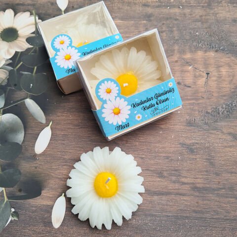 Papatya Mum Özel Kesim Kutulu 8 Mart Kadınlar Günü Hediyesi