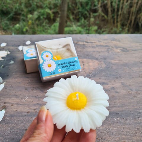 Papatya Mum Özel Kesim Kutulu 8 Mart Kadınlar Günü Hediyesi