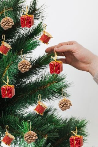 12'li Kırmızı Kozalak Hediye Paketi Davul Şekilli Minik 3cm Yılbaşı Ağaç Süsleri