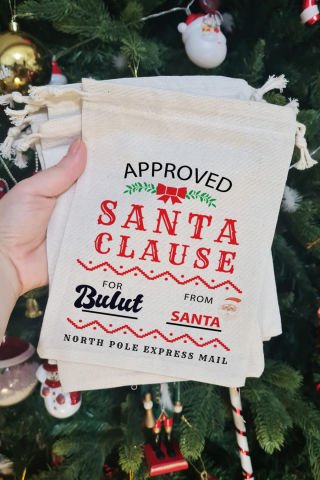 Santa Clause Express Mail İsme Özel Yılbaşı Hediye Kesesi