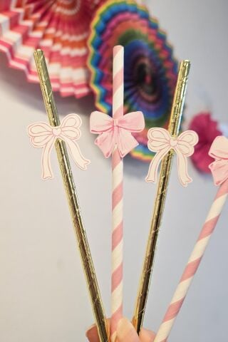 Pembe Fiyonk Pipet Süsleri 10lu Fiyonk Konsept Lüks Pipet Paketi